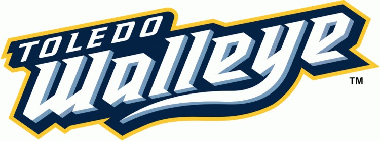 toledo walleye 2009-pres wordmark logo v2 iron on heat transfer